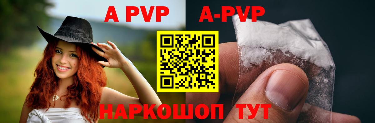 A PVP СК КРИС Кингисепп
