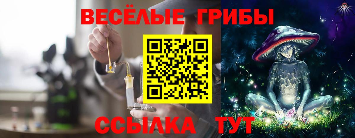 Галлюциногенные грибы Magic Shrooms Кингисепп
