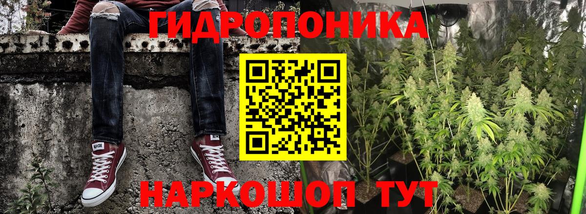 Конопля AK-47 Кингисепп